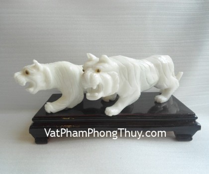 Bạch hổ Tây Tạng FBH_TT